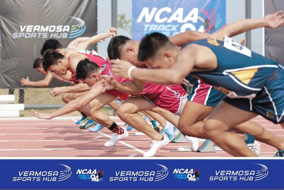 Photo taken from Vermosa Sports Hub Facebook page