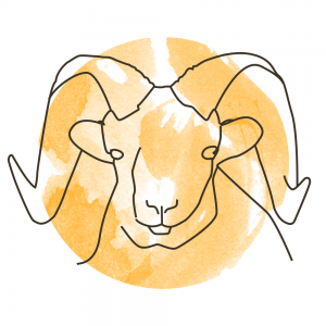 Aries 300x300