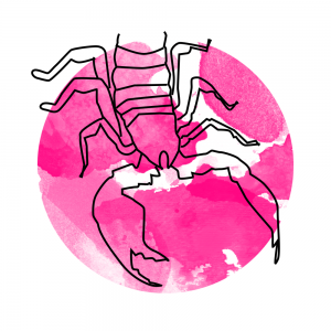 Scorpio 300x300