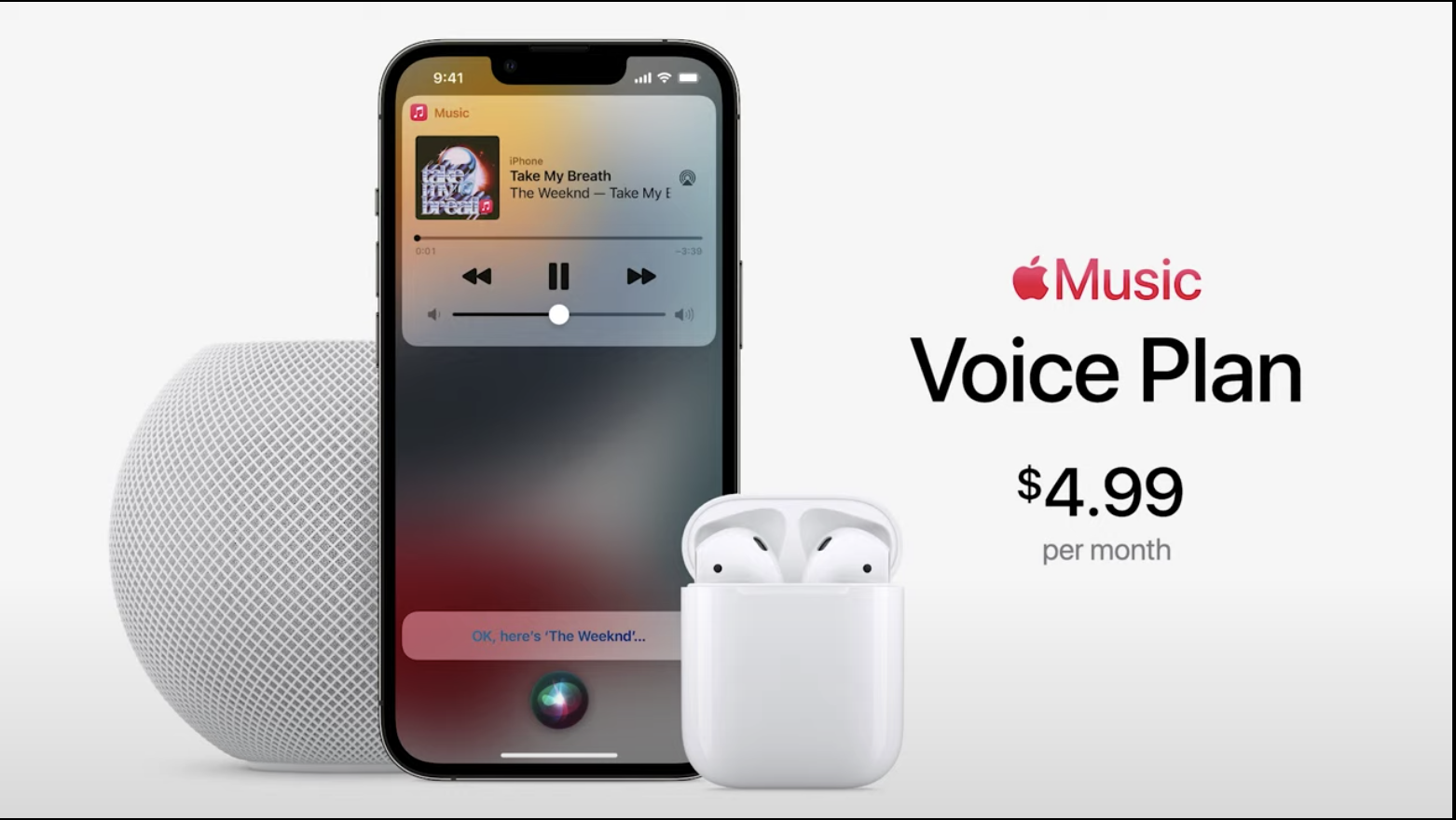 Apple Voice Plan