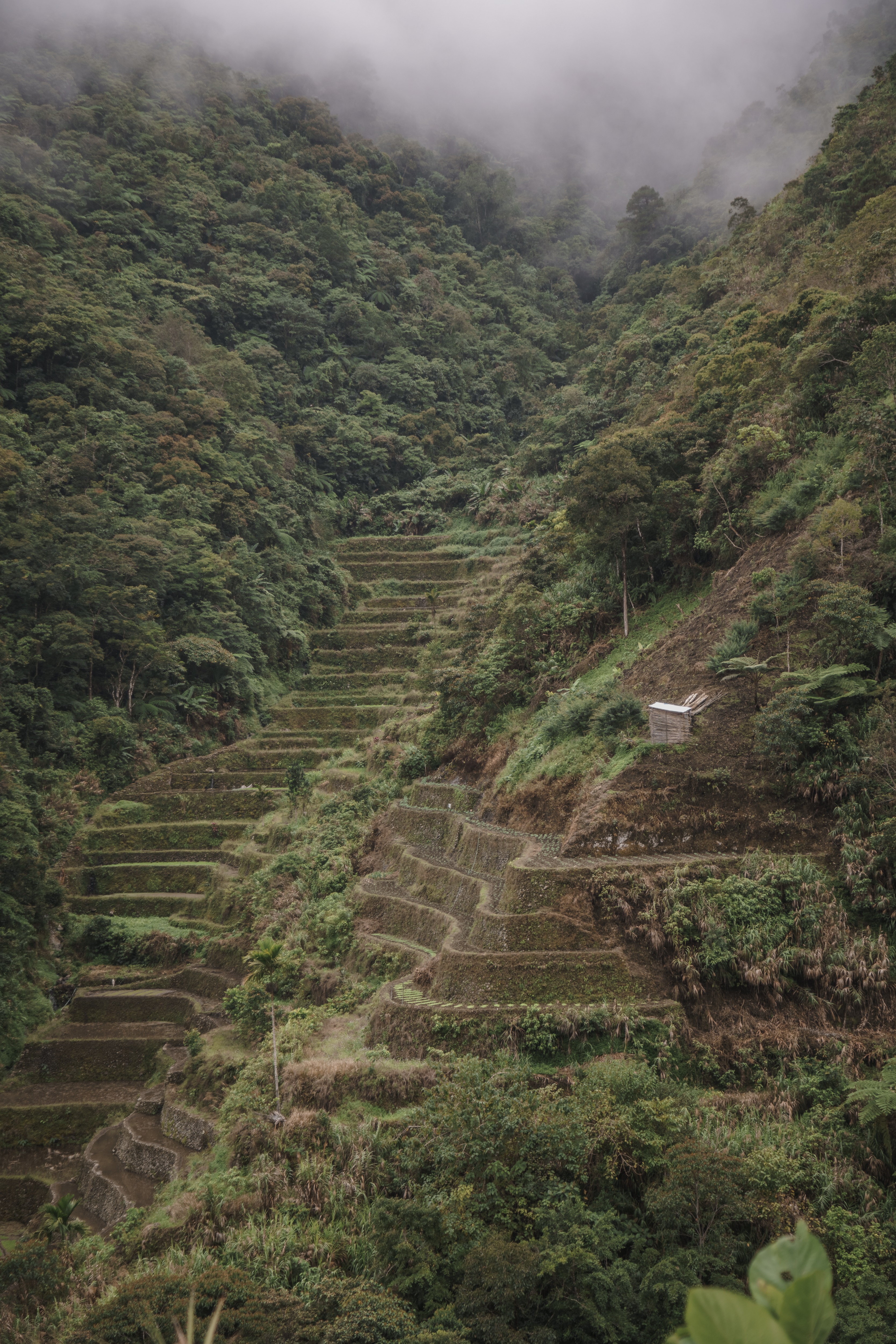 Photos by Sace Natividad